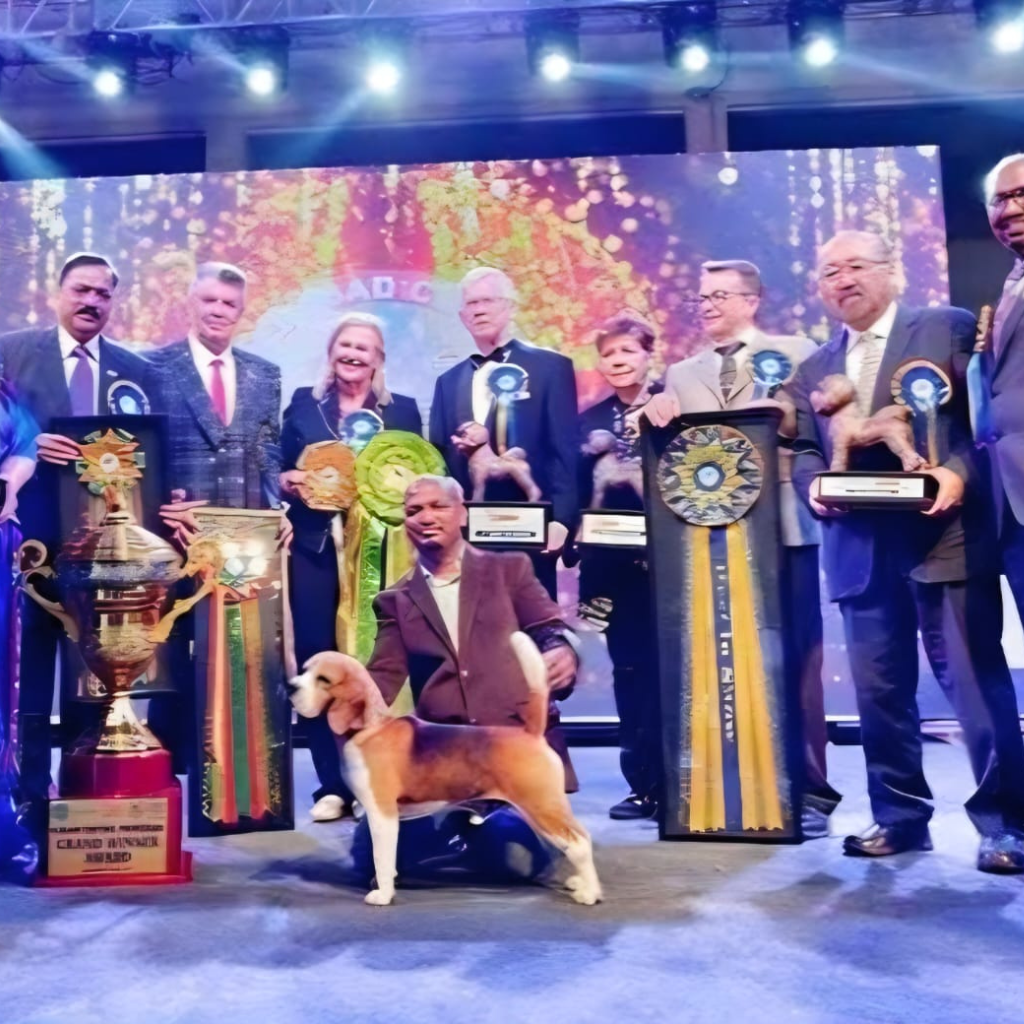 Breeder of the Year Beagle, India